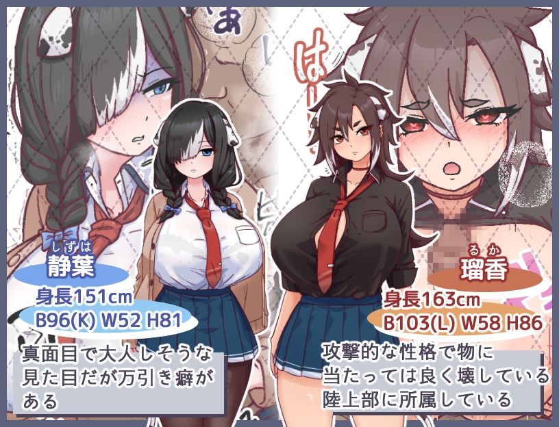 メス犬トレーニング 画像4