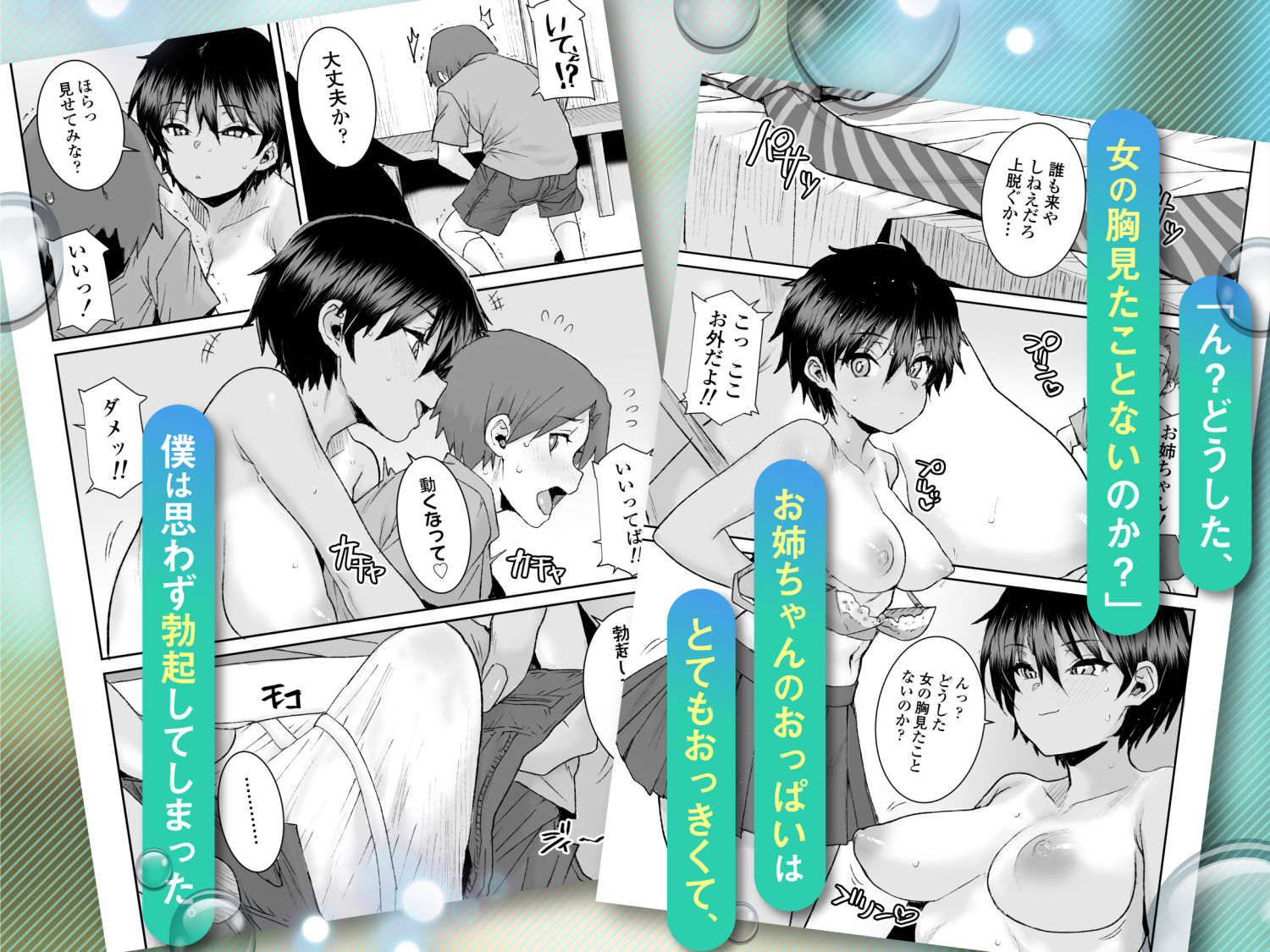 無口で気の強いボーイッシュなお姉ちゃんで僕は童貞を卒業しました 画像2